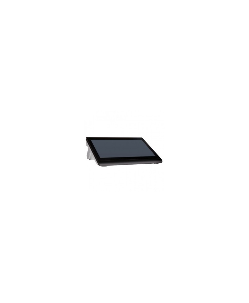 C1400L Colormetrics C1400, 35,5 cm (14''), Projected Capacitive, SSD, Display, nero
