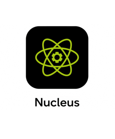 Zebra Nucleus
